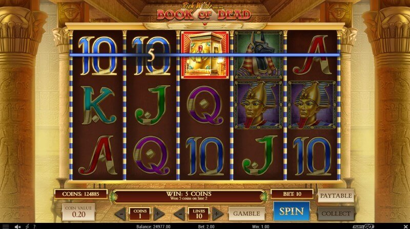 Book of Dead Slot Win Combo