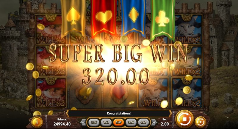 Feline Fury slot super big win