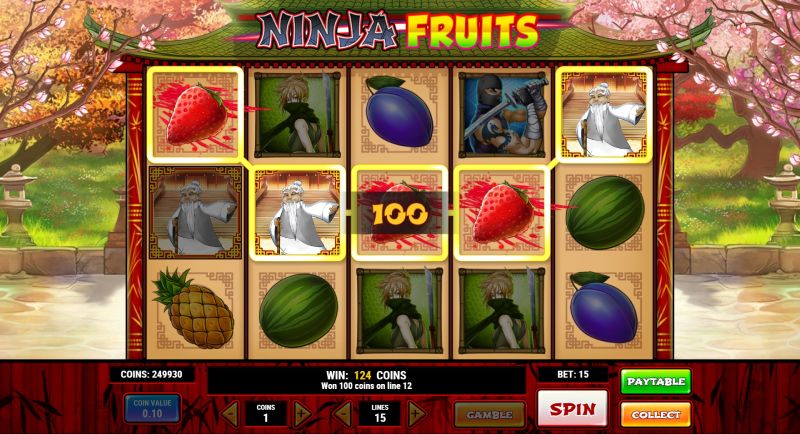 Ninja Fruits slot win combination