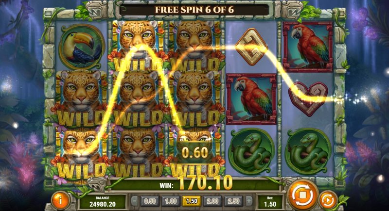 Rainforest Magic slot free spins