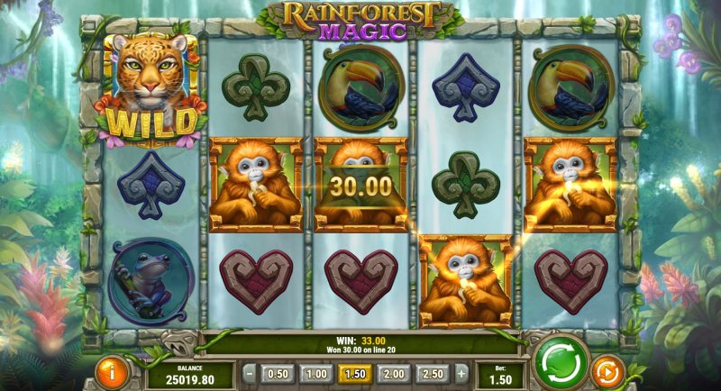Rainforest Magic slot win combination