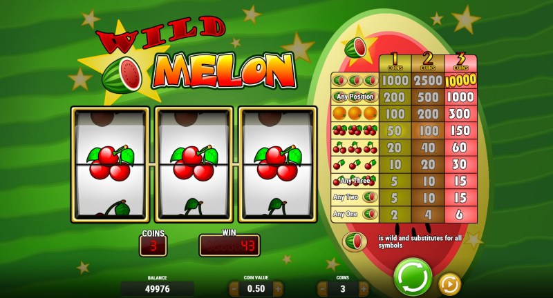 Wild Melon slot win combination