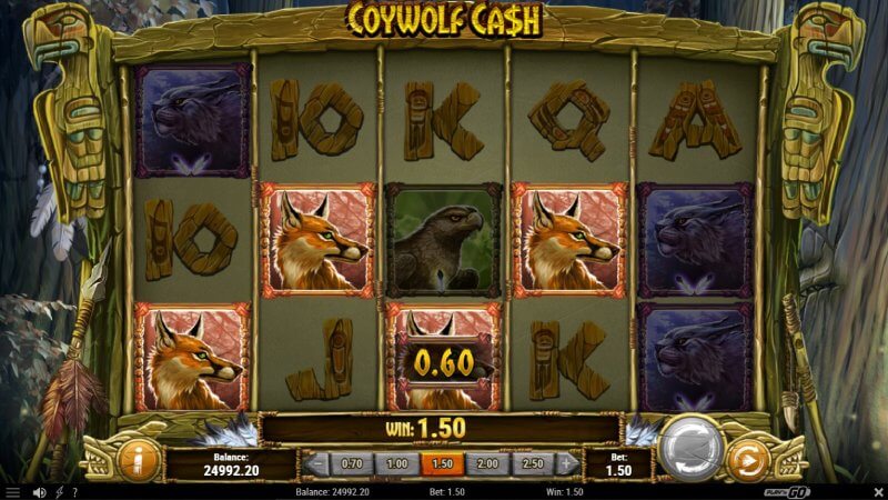 Coywolf Cash Slot Win Combination