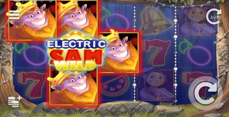 Electric Sam Wild Feature