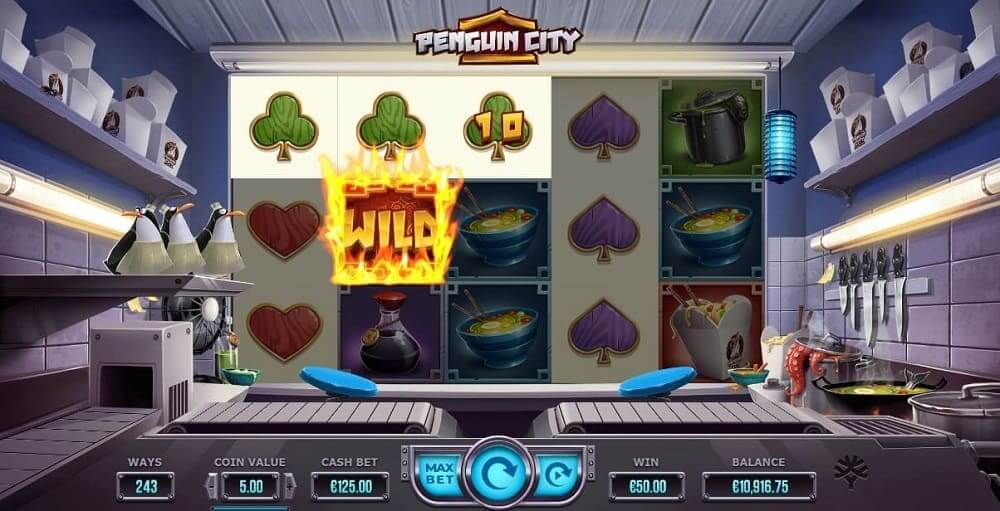 penguin city wild