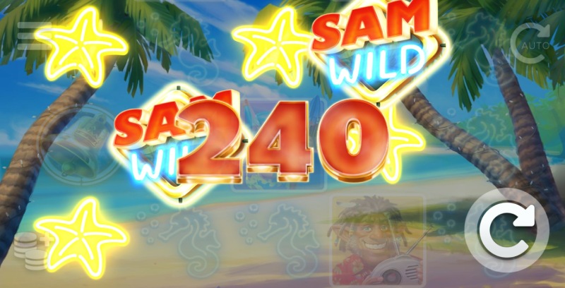 Sam on the Beach Slot Win Combination