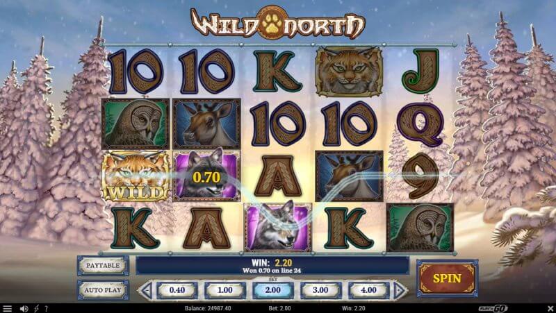 Wild North Slot Gameplay