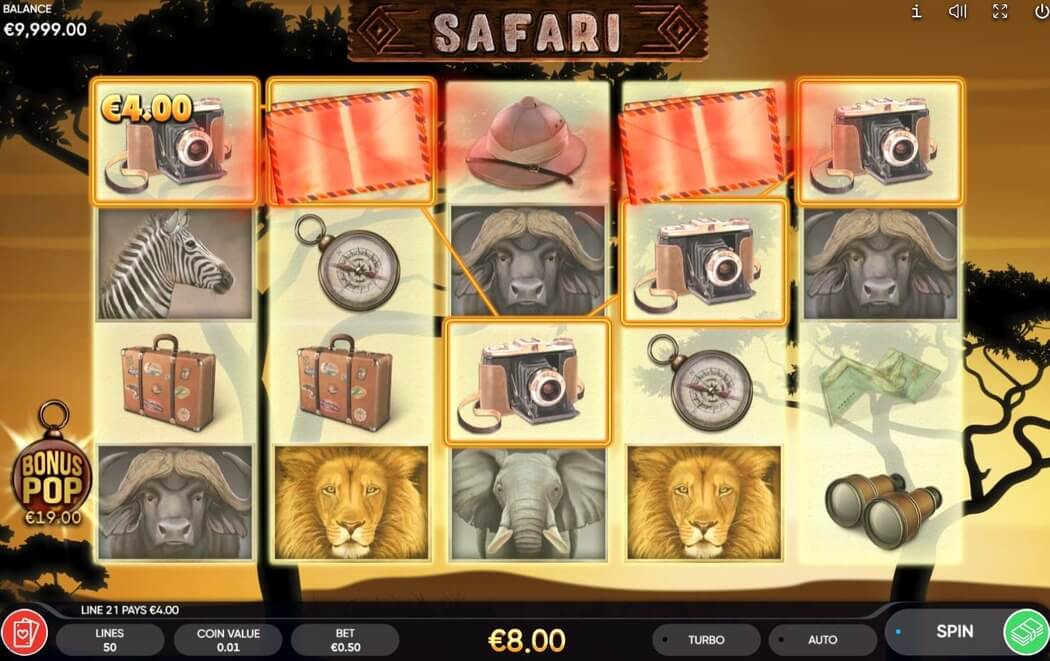 safari spin1